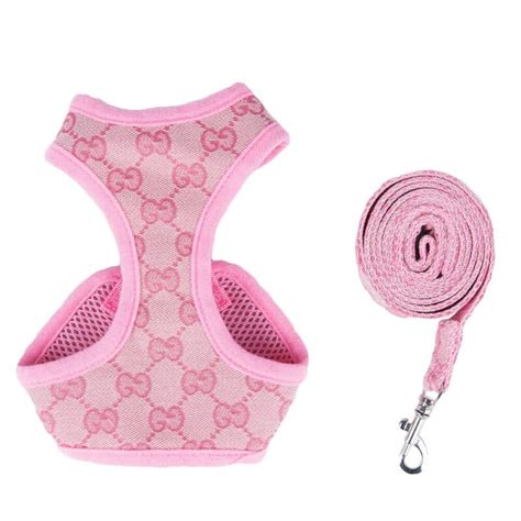 gucci dog harness
